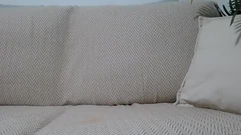 Snapshot of jasmin6501 chatting on October 2025 07:12:02 PM Ella0105 online show from October 2025 07:12:02 PM