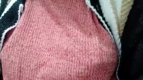 jasspreettt online show from February 2025 01:55:01 AM