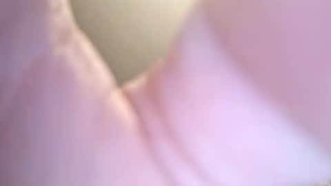 Snapshot of jay56777543234 chatting on February 2026 11:24:01 AM jay56777543234 online show from February 2026 11:24:01 AM