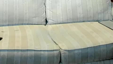 O F   jay short786 online show from January 2026 12:49:02 AM