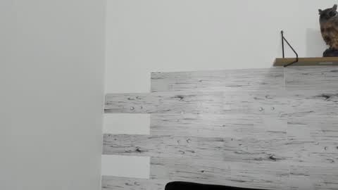 Jaycreedd online show from February 2025 06:28:01 AM