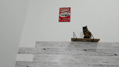 Jaycreedd online show from March 2025 06:18:02 AM