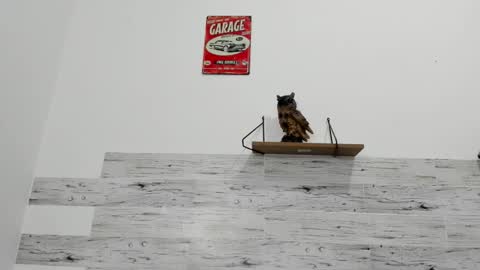 Jaycreedd online show from October 2025 05:02:02 AM