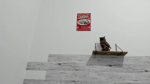 Jaycreedd online show from November 2025 03:27:02 AM