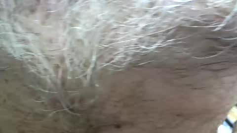 jayjay1949a online show from March 2026 06:55:01 PM