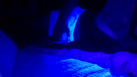 Snapshot of jaysobricked chatting on February 2025 06:35:01 AM Jaysobricked online show from February 2025 06:35:01 AM