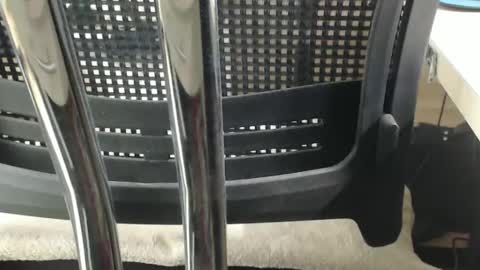 Snapshot of jc200000 chatting on February 2025 06:37:02 PM jc200000 online show from February 2025 06:37:02 PM