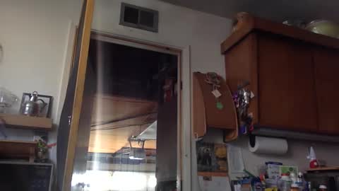 Snapshot of jdubba420 chatting on October 2025 11:09:01 PM jdubba420 online show from October 2025 11:09:01 PM