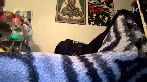 jd online show from November 2025 02:55:02 AM