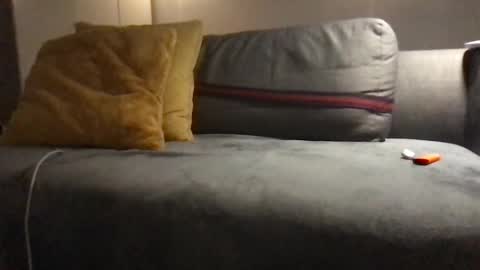 Snapshot of jebatcutevristatces12 chatting on February 2025 11:58:02 PM hepilauda online show from February 2025 11:58:02 PM