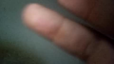 Snapshot of jemini0 chatting on May 2026 03:56:02 AM jemini0 online show from May 2026 03:56:02 AM