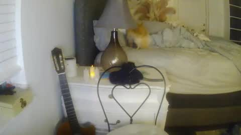 jenna197069 online show from December 2024 10:45:01 AM