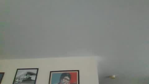 Snapshot of jerseyhammer01 chatting on December 2024 09:31:01 AM Harry online show from December 2024 09:31:01 AM