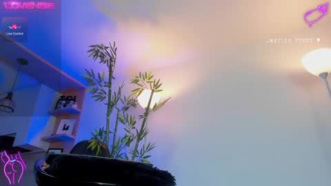 Snapshot of jessicapratt chatting on February 2025 11:11:02 PM Jessica Pratt IG jessicaxpratt online show from February 2025 11:11:02 PM