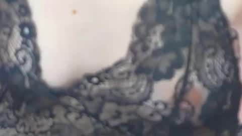 JessieStarrr online show from February 2026 05:41:01 PM