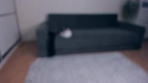 Snapshot of jessrubatte chatting on November 2025 07:52:02 AM NEW VIDEO IN BIO online show from November 2025 07:52:02 AM