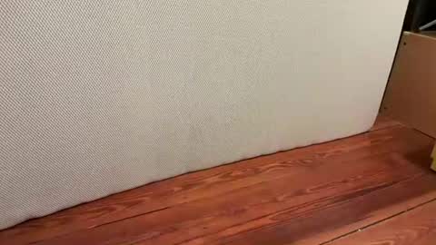 Snapshot of jetzzurssi chatting on January 2026 06:39:01 AM me online show from January 2026 06:39:01 AM