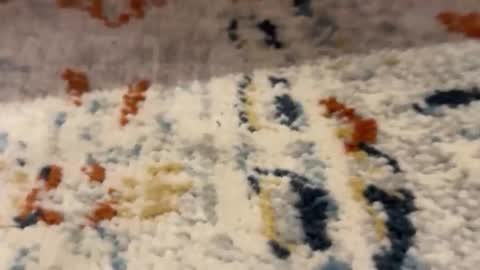 Snapshot of jetzzurssi chatting on March 2026 11:44:01 PM me online show from March 2026 11:44:01 PM