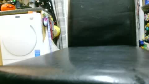 Snapshot of jez619 chatting on November 2025 08:24:01 AM jez619 online show from November 2025 08:24:01 AM