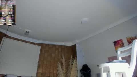 jhonaldsw online show from January 2025 12:18:01 PM