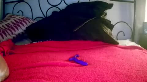 Jimz14u online show from March 2026 03:55:02 AM