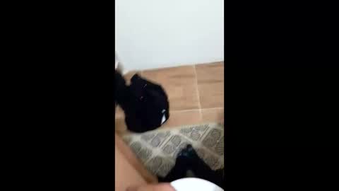 Snapshot of jixldfseepsv chatting on January 2026 12:21:01 PM jixldfseepsv online show from January 2026 12:21:01 PM