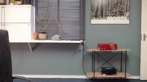 JamesJan van Rebel online show from December 2024 11:34:02 AM