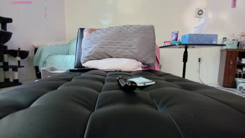 Snapshot of jjjust4fun1985 chatting on September 2025 10:01:02 PM Nicole Allen online show from September 2025 10:01:02 PM