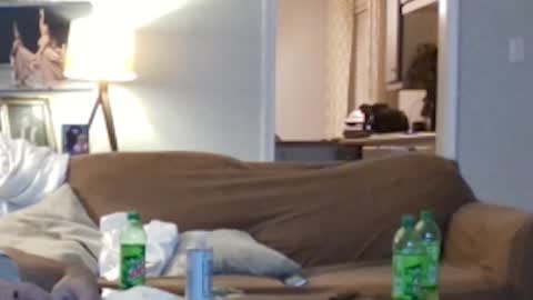 jkelly92081bean online show from October 2025 10:24:02 AM