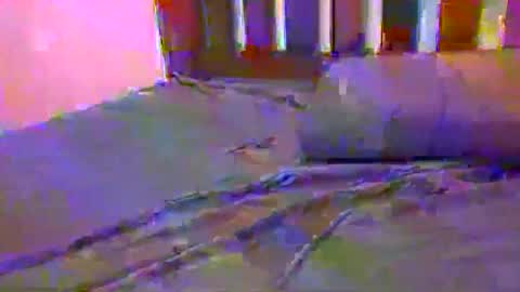 Snapshot of jlrf90 chatting on February 2025 10:29:01 AM tip me online show from February 2025 10:29:01 AM