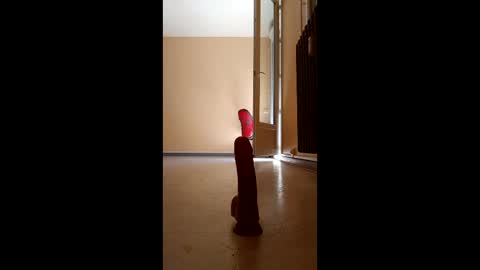 jobi88 online show from April 2026 11:51:02 AM