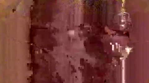 jodlsepp online show from December 2024 11:47:01 PM