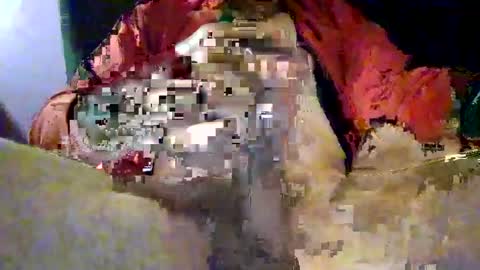 joe_says_hi online show from November 2025 08:58:01 PM