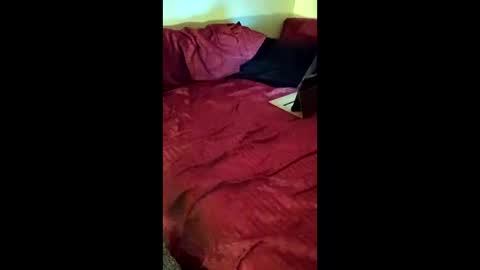 Snapshot of joeborrowman7 chatting on March 2026 08:38:01 AM joeborrowman7 online show from March 2026 08:38:01 AM