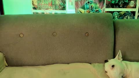 Snapshot of johncarrie chatting on September 2025 04:18:02 AM John carrie Independent Help me reach my goal 100 likes and 10000 followers online show from September 2025 04:18:02 AM