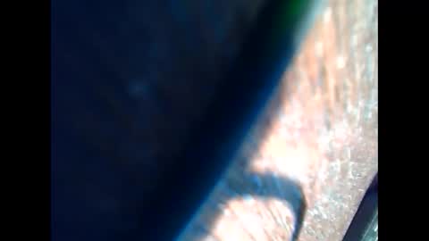 Snapshot of johnjohn6226623 chatting on March 2025 04:49:01 PM johnjohn6226 online show from March 2025 04:49:01 PM