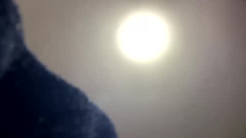 Snapshot of johnjow10 chatting on February 2025 03:59:01 AM JOHN online show from February 2025 03:59:01 AM