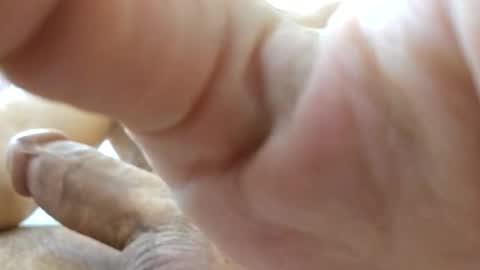 Snapshot of johnnnn2331 chatting on November 2025 02:17:02 AM johnnnn2331 online show from November 2025 02:17:02 AM