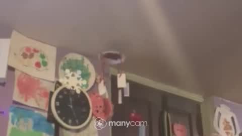 johnnyshung1 online show from December 2024 09:57:02 AM