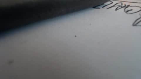 Snapshot of johnnyssunshine chatting on October 2025 02:35:02 PM johnnyssunshine online show from October 2025 02:35:02 PM