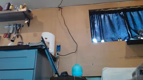 Snapshot of johnplayer23 chatting on January 2025 05:44:01 PM johnplayer23 online show from January 2025 05:44:01 PM