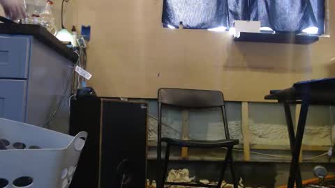 Snapshot of johnplayer23 chatting on December 2025 04:59:02 PM johnplayer23 online show from December 2025 04:59:02 PM