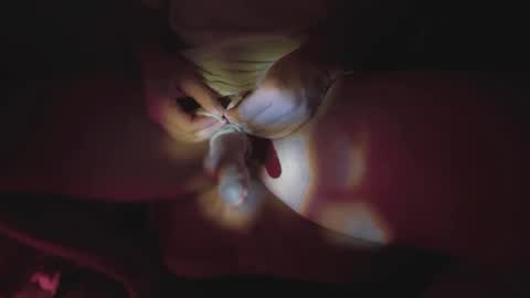 jonahshyfap online show from January 2025 02:22:02 AM