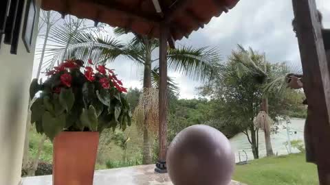 Snapshot of joulianogreco1 chatting on November 2025 08:05:01 PM Im Jouliano online show from November 2025 08:05:01 PM