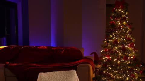 Jennifer Diaz online show from December 2024 06:23:02 PM