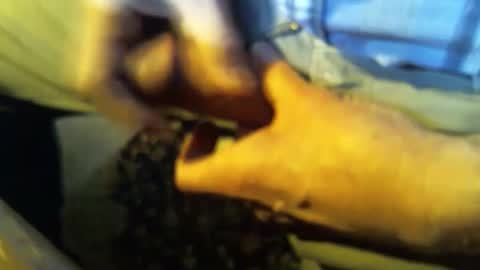 jt335577 online show from January 2025 07:46:01 PM