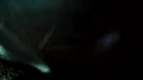 Snapshot of juanmanuelgate chatting on May 2026 10:53:02 AM Juan Manuel online show from May 2026 10:53:02 AM