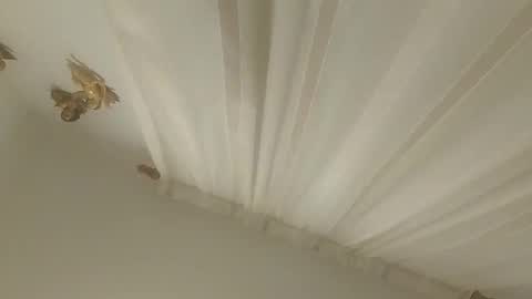 JuanmaSEX online show from November 2025 03:27:01 AM