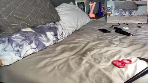 Daddy Tiger online show from September 2025 02:06:02 PM