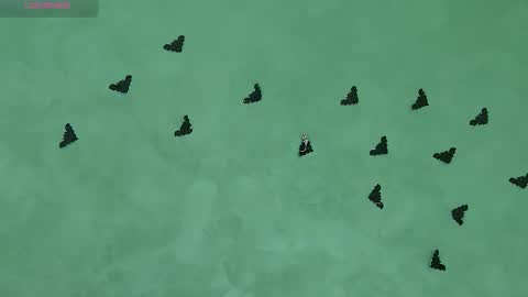 Snapshot of juicyjullia chatting on November 2025 08:47:01 AM Julia online show from November 2025 08:47:01 AM